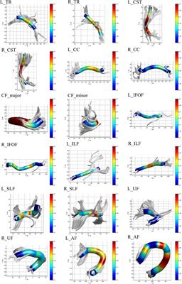 Alterations in White Matter Fiber Tracts Characterized by Automated Fiber-Tract Quantification and Their Correlations With Cognitive Impairment in Neuromyelitis Optica Spectrum Disorder Patients